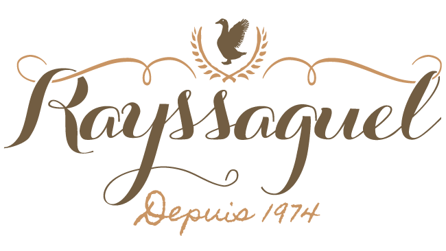 Logo rayssaguel.com