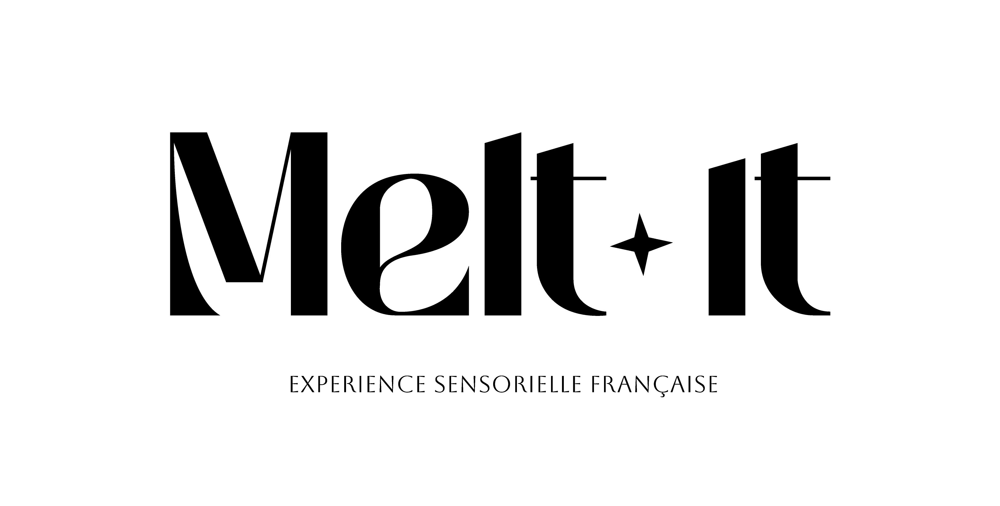 Logo MELT IT