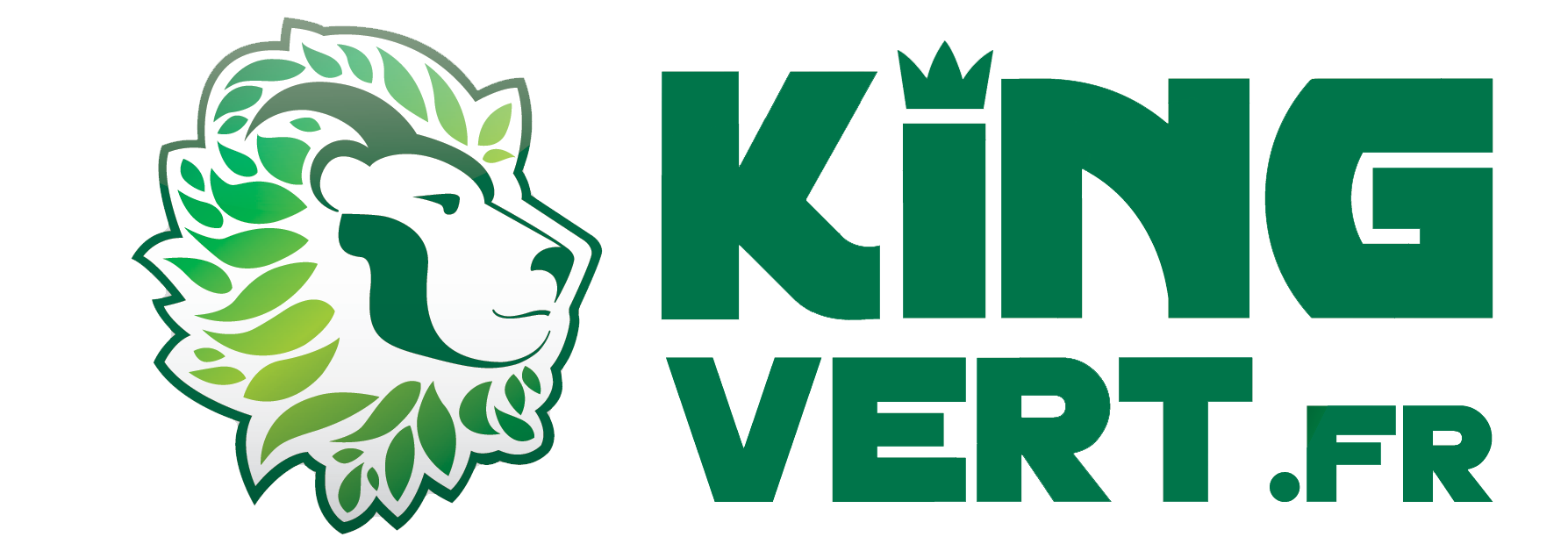 Logo KING VERT