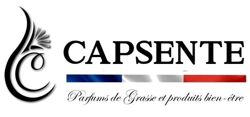 Logo CAPSENTE