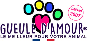 Logo GUEULE D'AMOUR