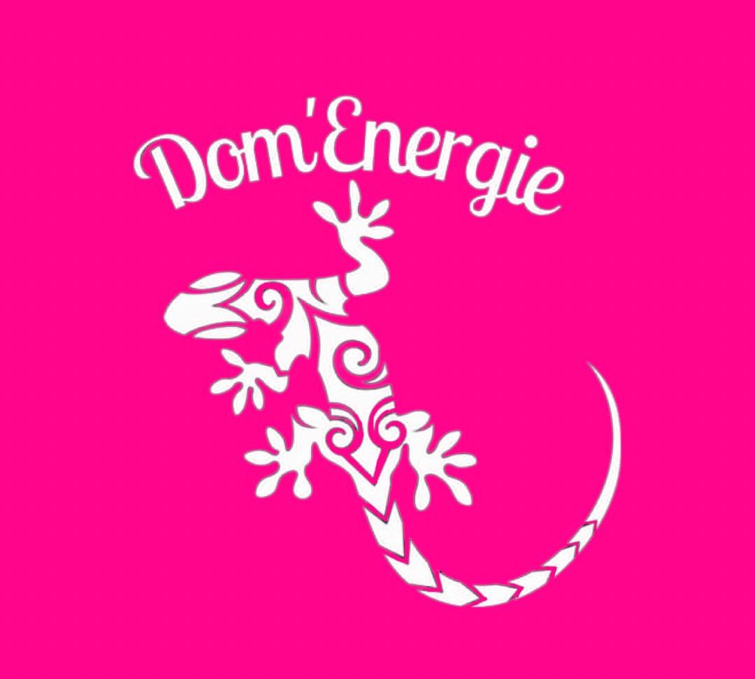 Logo Dom-energie